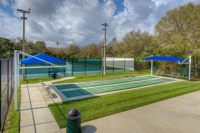 29233 BIRDS EYE DRIVE, Wesley Chapel, FL 33543