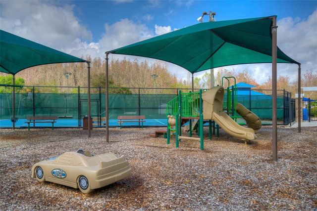 29233 BIRDS EYE DRIVE, Wesley Chapel, FL 33543