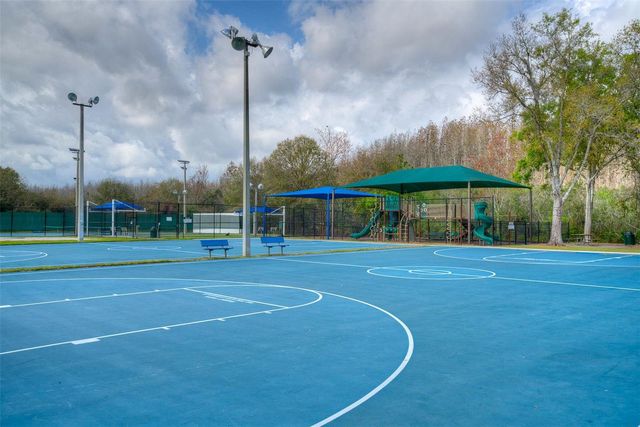 29233 BIRDS EYE DRIVE, Wesley Chapel, FL 33543