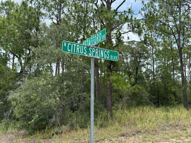 9391 N STAFFORD DRIVE, Citrus Springs, FL 34433