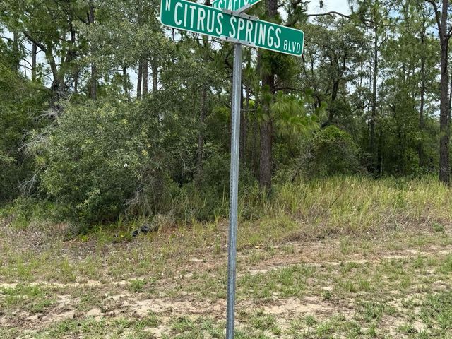 9391 N STAFFORD DRIVE, Citrus Springs, FL 34433