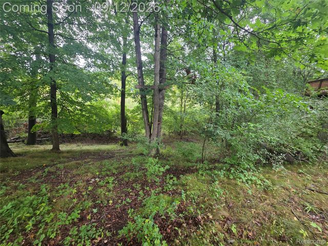 7500 Welle Road, Hamburg Township, MI 48116