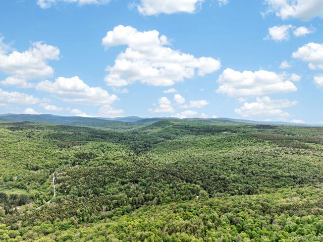 81 N Pond Drive, Livingston Manor, NY 12768