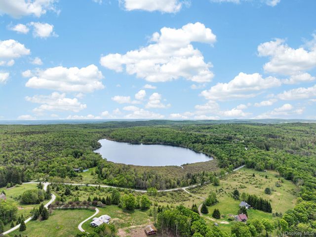 81 N Pond Drive, Livingston Manor, NY 12768