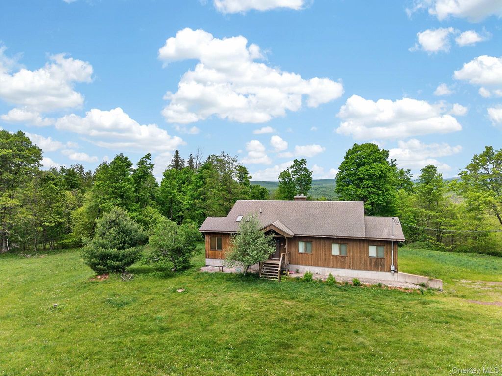 81 N Pond Drive, Livingston Manor, NY 12768