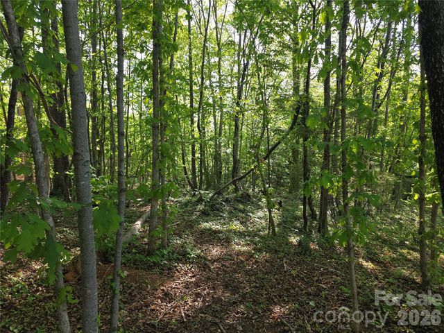 55 Cypress Road, Marion, NC 28752