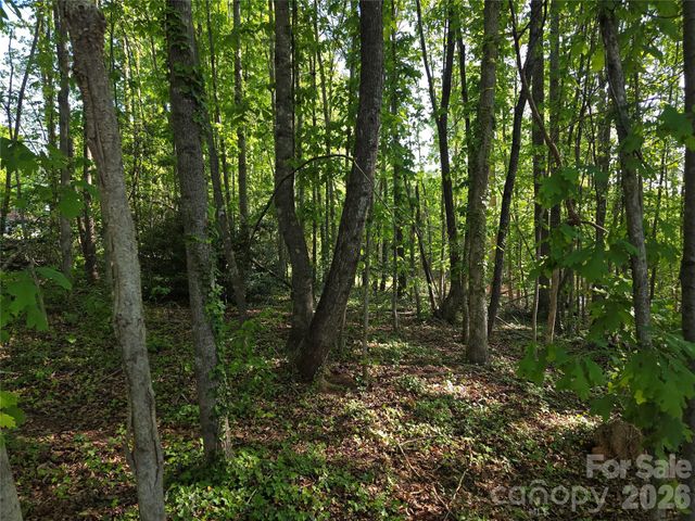55 Cypress Road, Marion, NC 28752