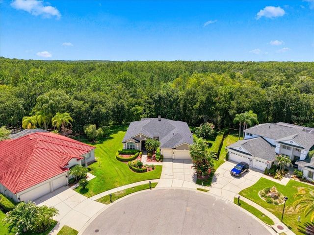 6121 CHENE COURT, Lutz, FL 33558