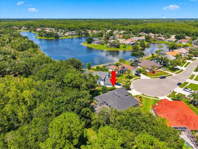 6121 CHENE COURT, Lutz, FL 33558