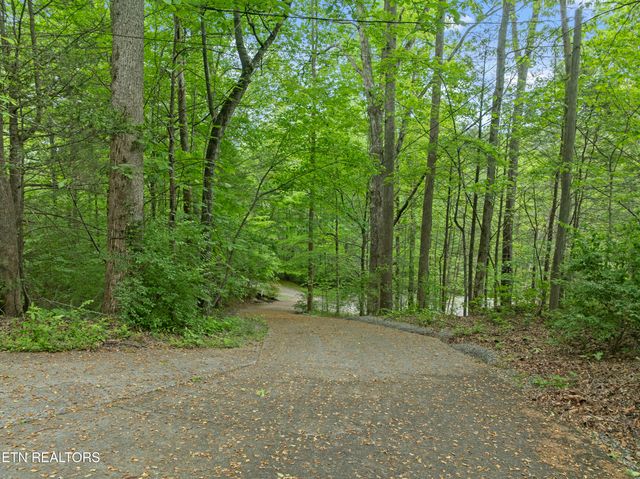 144 Timberwinds Way, Townsend, TN 37882