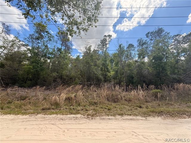 2907 Clearwood Street, Inverness, FL 34452