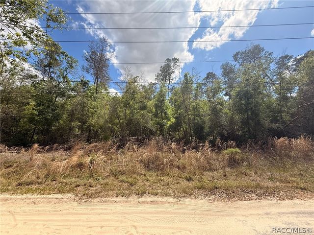 2907 Clearwood Street, Inverness, FL 34452