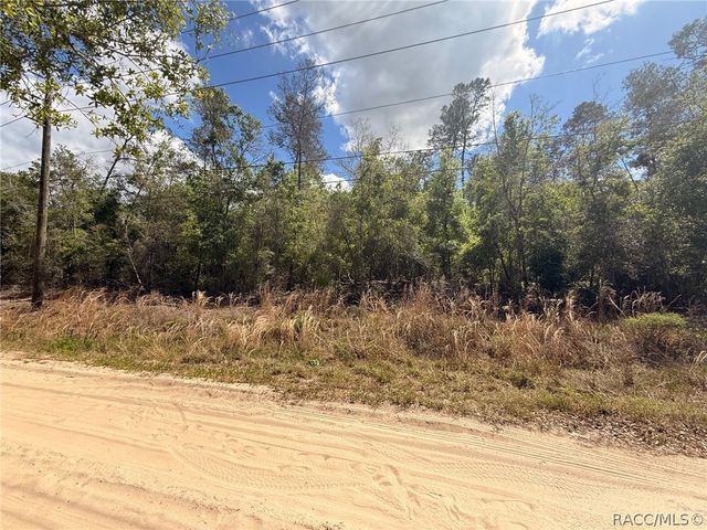 2907 Clearwood Street, Inverness, FL 34452