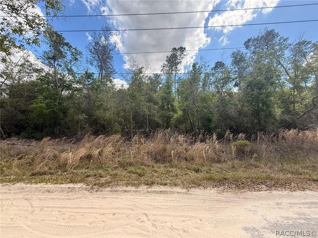 2907 Clearwood Street, Inverness, FL 34452