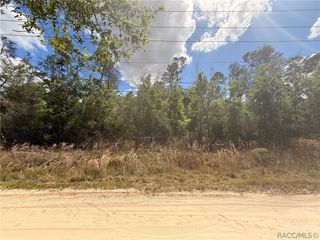 2907 Clearwood Street, Inverness, FL 34452
