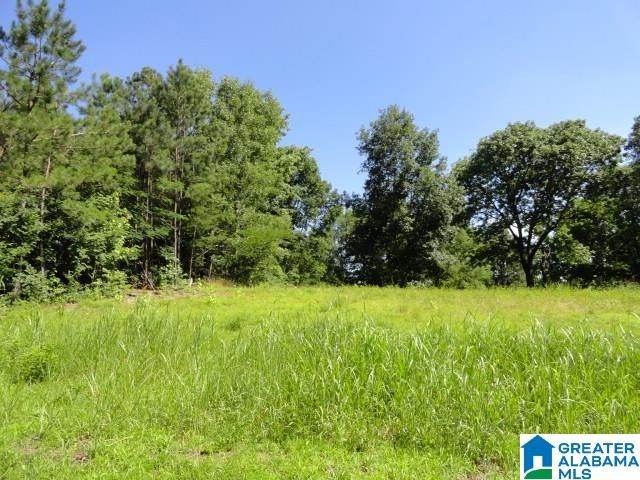 3290 HILLCREST PLACE, Adamsville, AL 35005