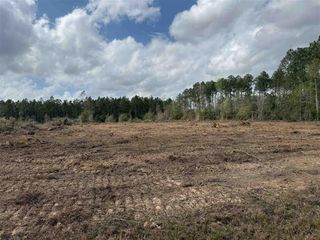 0 Wesley Coleman Road, Longville, LA 70652