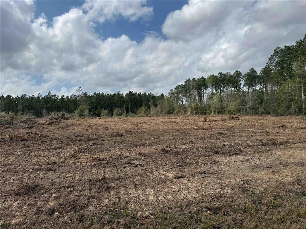 0 Wesley Coleman Road, Longville, LA 70652
