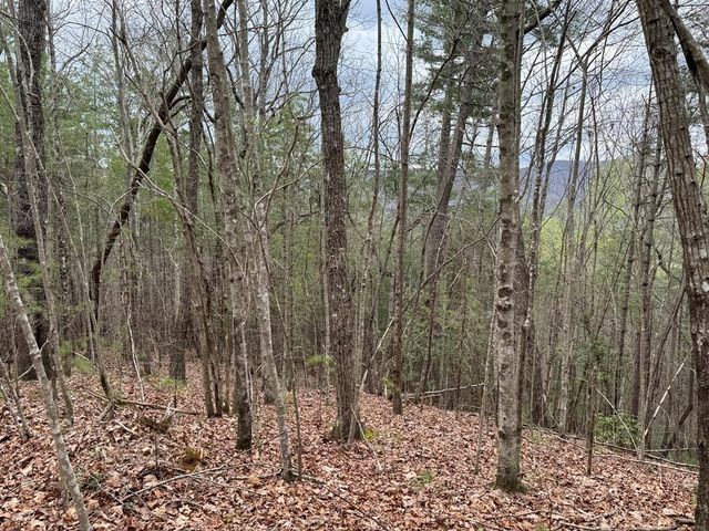 LOT A-D Harpers Creek Road, Ellijay, GA 30540