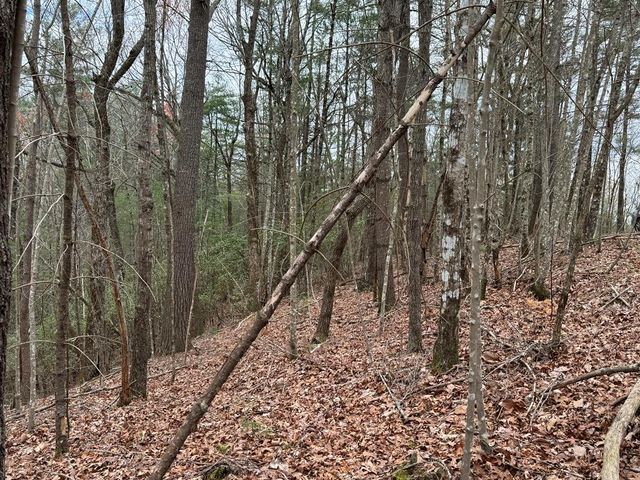 LOT A-D Harpers Creek Road, Ellijay, GA 30540