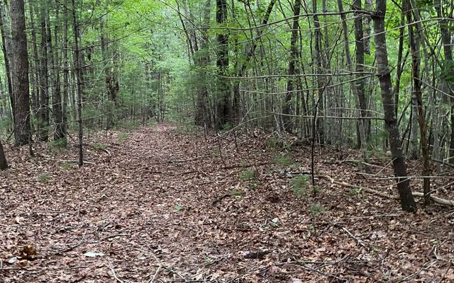 LOT A-D Harpers Creek Road, Ellijay, GA 30540