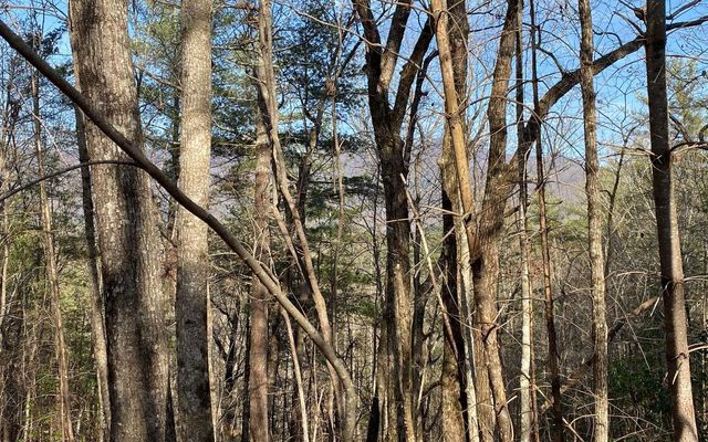 LOT A-D Harpers Creek Road, Ellijay, GA 30540