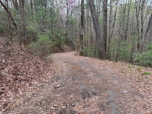 LOT A-D Harpers Creek Road, Ellijay, GA 30540