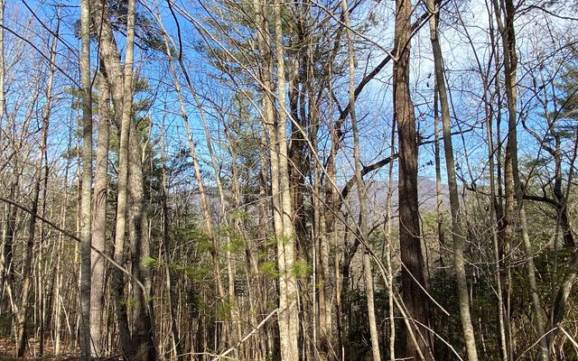 LOT A-D Harpers Creek Road, Ellijay, GA 30540