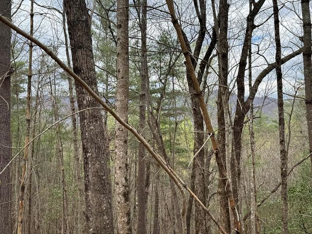 LOT A-D Harpers Creek Road, Ellijay, GA 30540