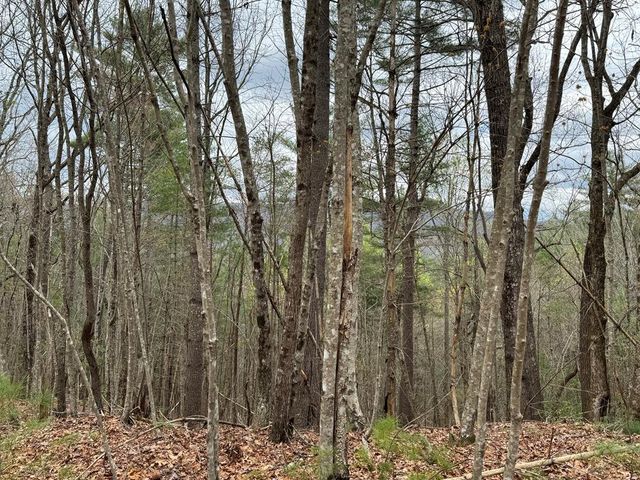 LOT A-D Harpers Creek Road, Ellijay, GA 30540