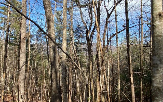 LOT A-D Harpers Creek Road, Ellijay, GA 30540