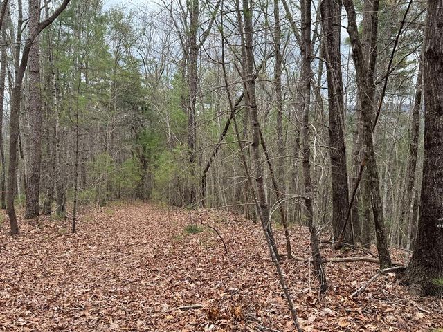LOT A-D Harpers Creek Road, Ellijay, GA 30540