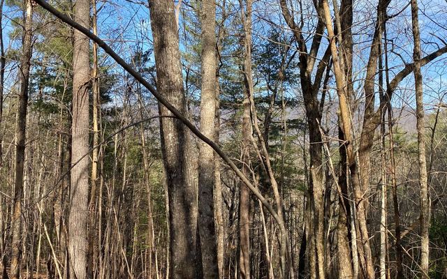 LOT A-D Harpers Creek Road, Ellijay, GA 30540