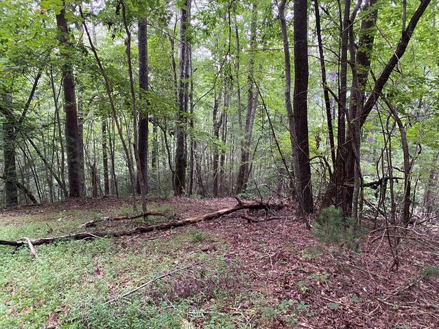 LOT A-D Harpers Creek Road, Ellijay, GA 30540