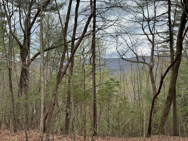 LOT A-D Harpers Creek Road, Ellijay, GA 30540