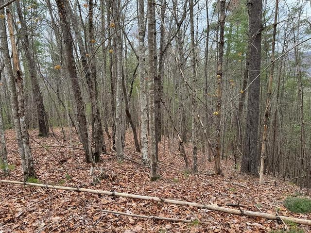 LOT A-D Harpers Creek Road, Ellijay, GA 30540