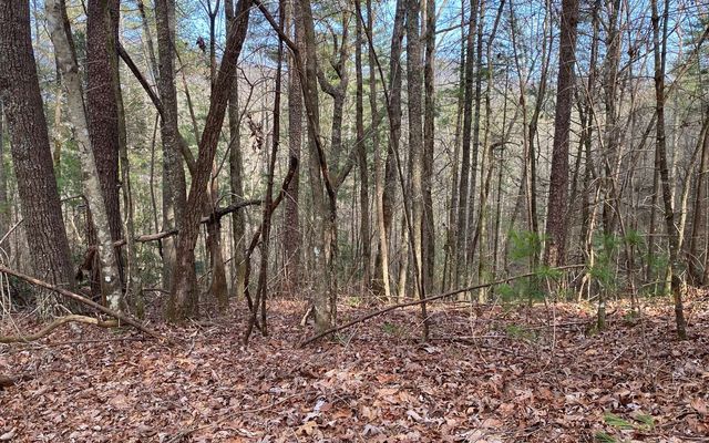 LOT A-D Harpers Creek Road, Ellijay, GA 30540