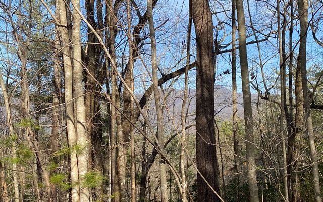 LOT A-D Harpers Creek Road, Ellijay, GA 30540