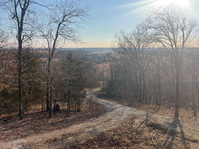 31797 State Highway 76, Norwood, MO 65717