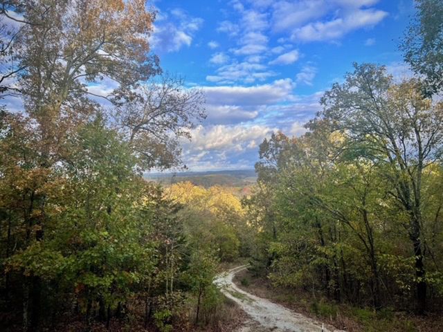 31797 State Highway 76, Norwood, MO 65717