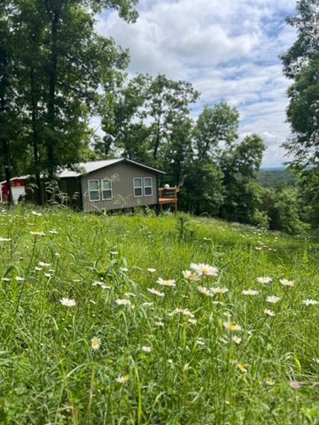 31797 State Highway 76, Norwood, MO 65717