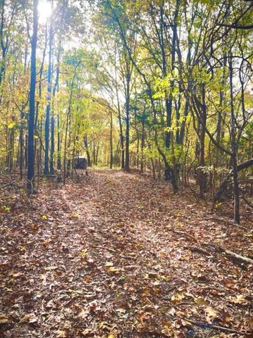 31797 State Highway 76, Norwood, MO 65717