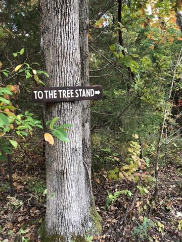 31797 State Highway 76, Norwood, MO 65717