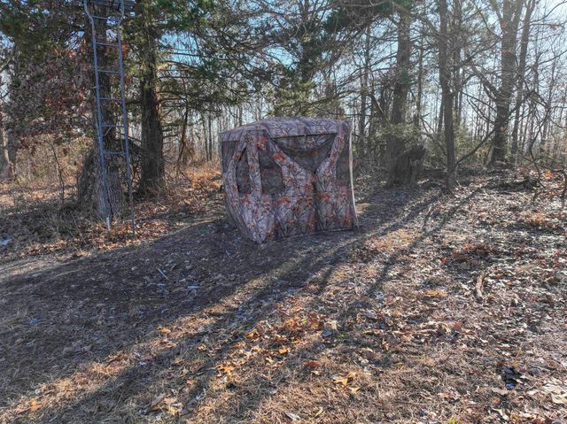 31797 State Highway 76, Norwood, MO 65717