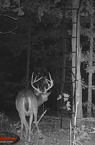 31797 State Highway 76, Norwood, MO 65717