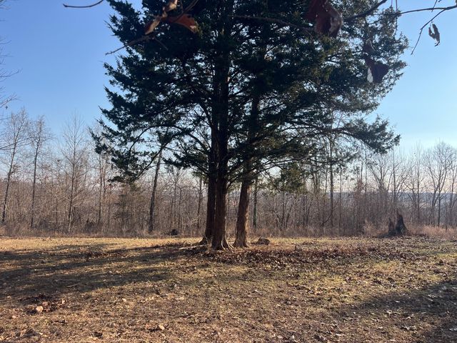 31797 State Highway 76, Norwood, MO 65717