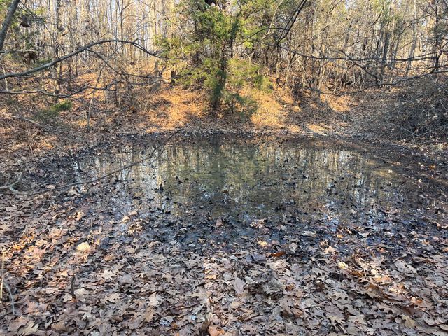 31797 State Highway 76, Norwood, MO 65717