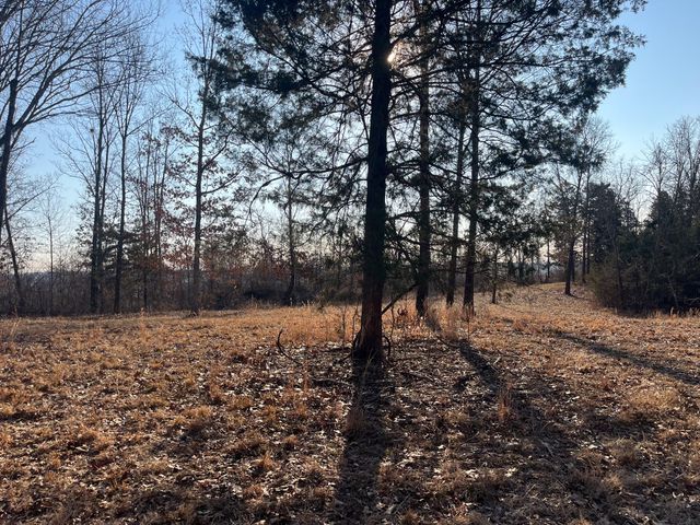 31797 State Highway 76, Norwood, MO 65717