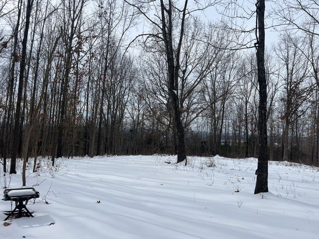 31797 State Highway 76, Norwood, MO 65717