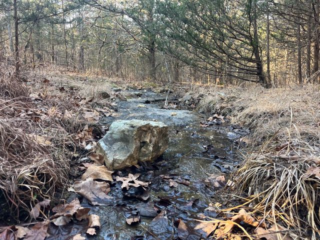 31797 State Highway 76, Norwood, MO 65717